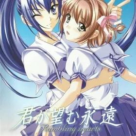 Обкладинка гри Kimi ga Nozomu Eien: Enhanced Edition