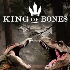 Обкладинка гри King of Bones