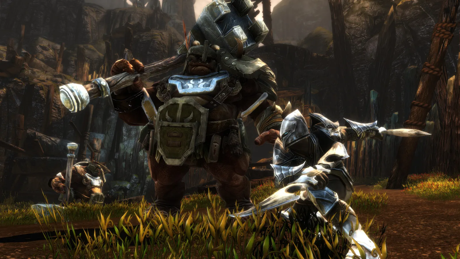 Kingdoms of Amalur: Re-Reckoning media 3
