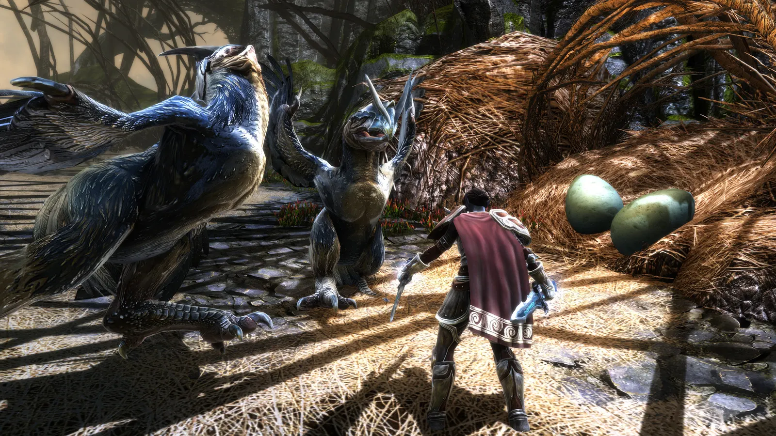 Kingdoms of Amalur: Re-Reckoning media 10