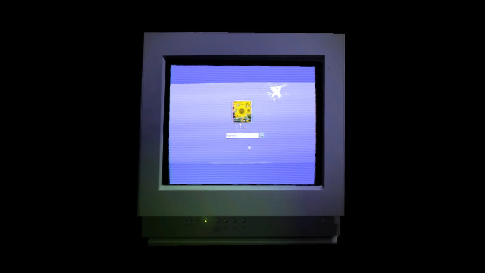 KinitoPET media 4