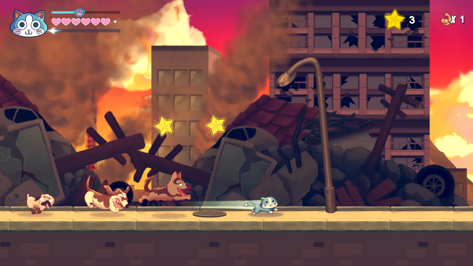 KinnikuNeko: SUPER MUSCLE CAT media 3