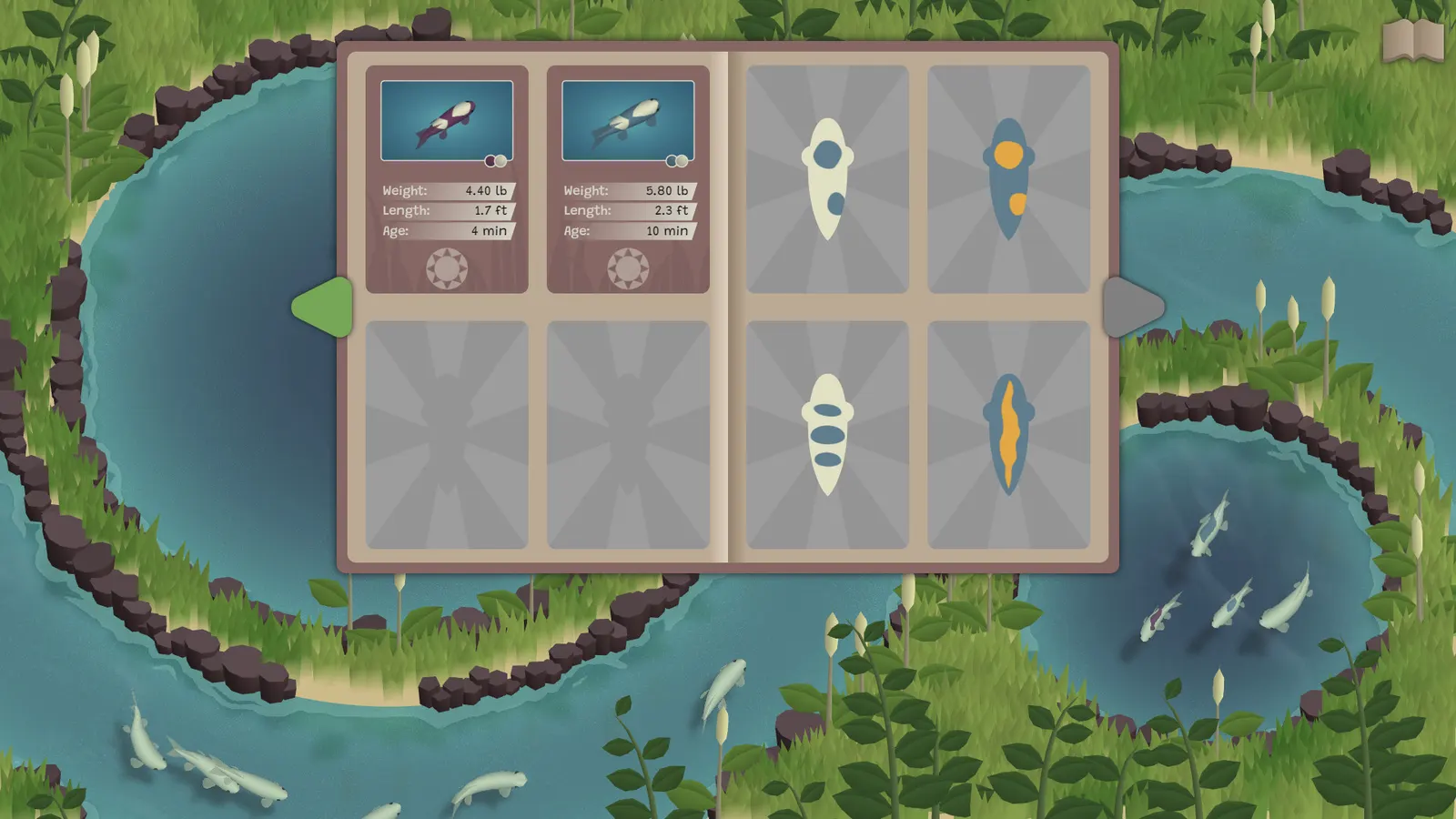 Koi Farm media 7