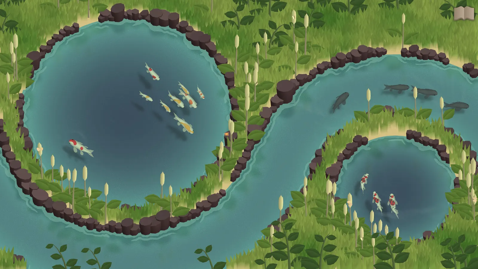 Koi Farm media 8
