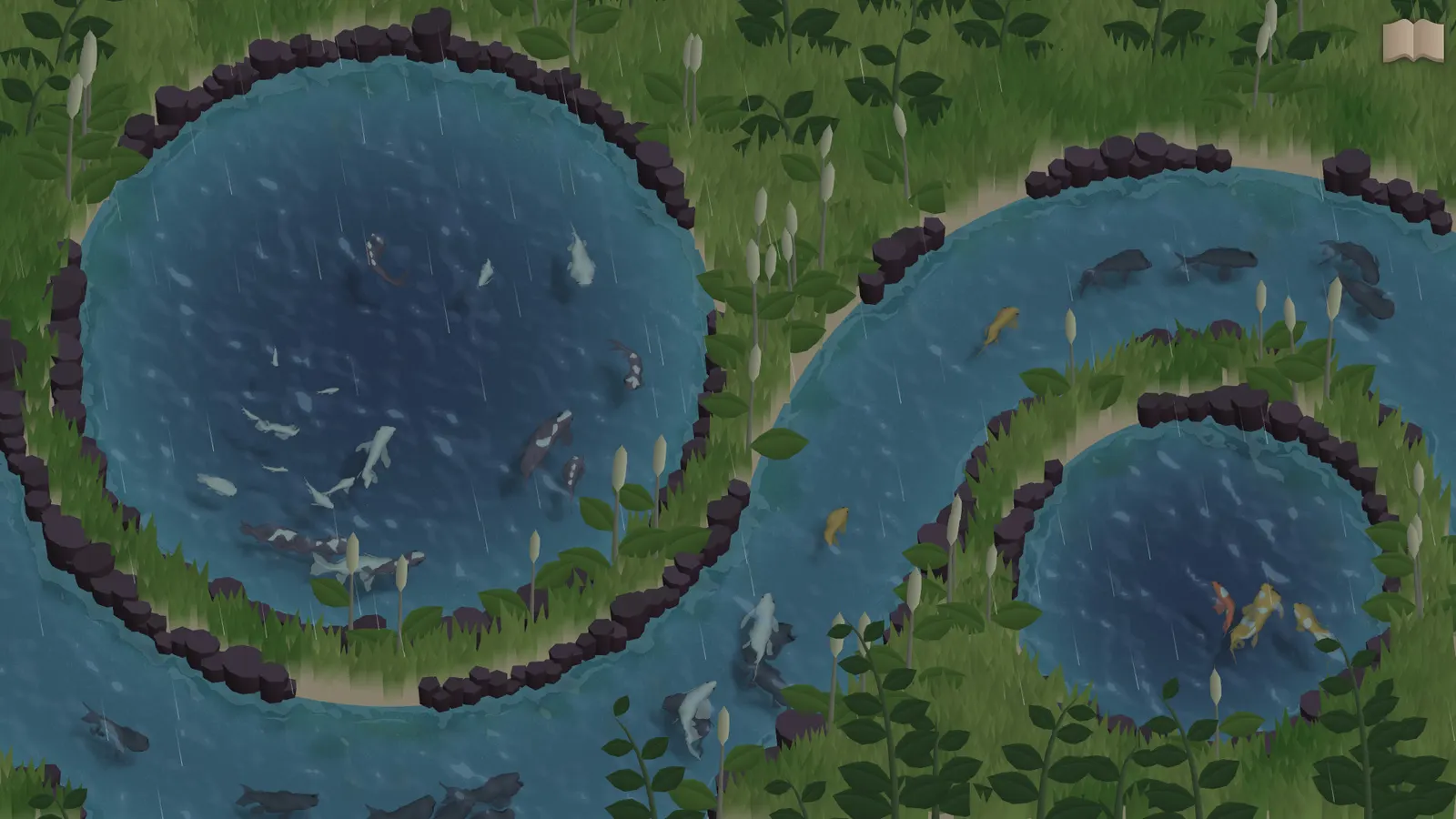 Koi Farm media 12