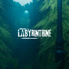 Обкладинка гри Labyrinthine
