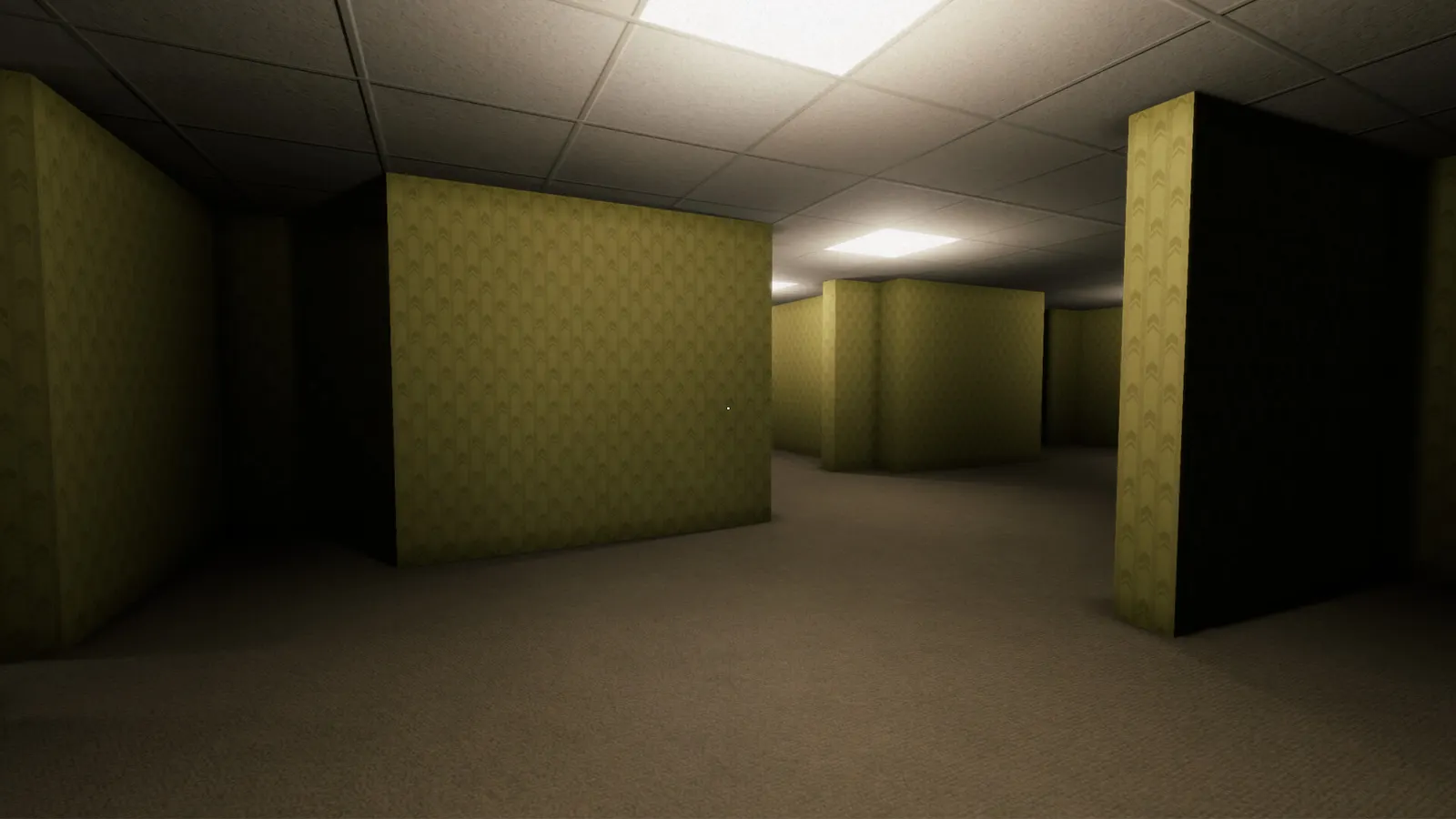 Labyrinthine media 10