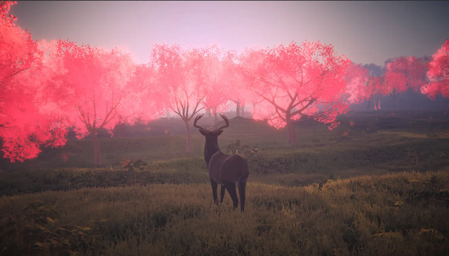 Legacy: the last pure heart media 2