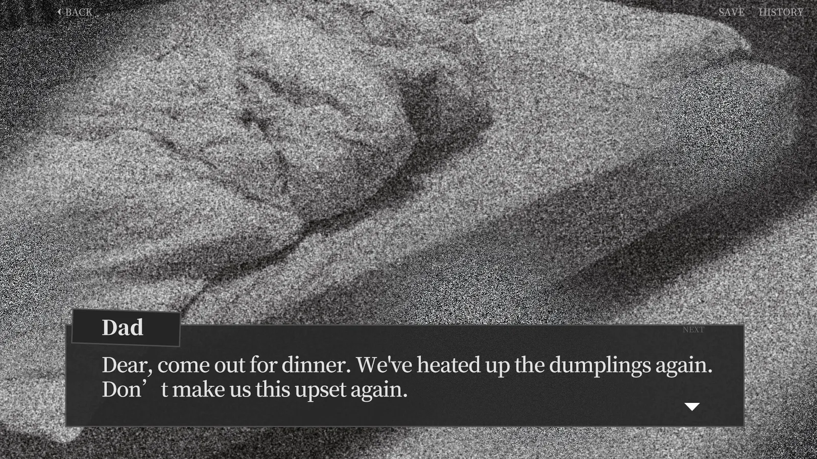 Let's BUG Dumplings media 7