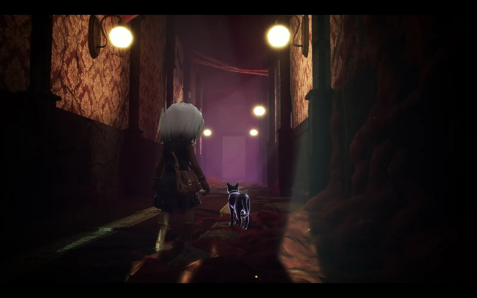 LIGHT: Black Cat & Amnesia Girl media 6