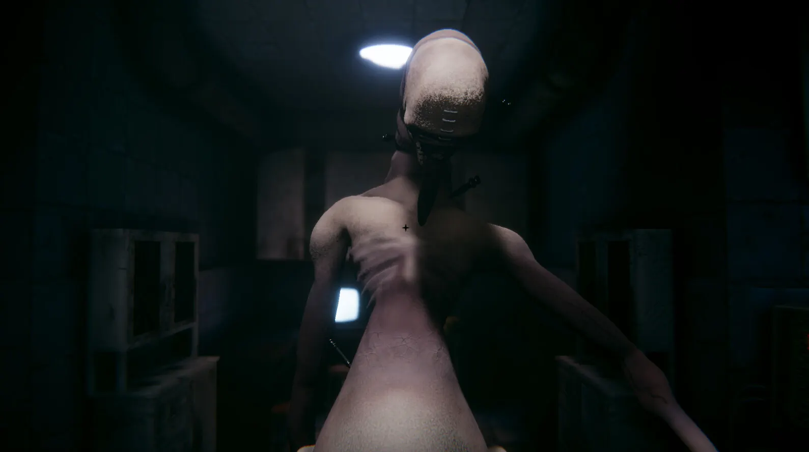 Limb From Limb media 2