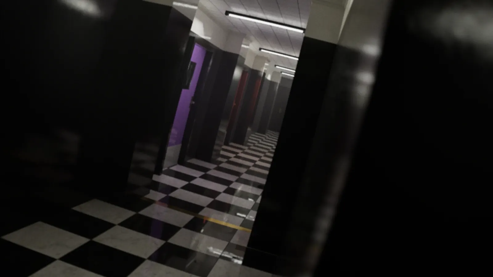 Limoria media 6