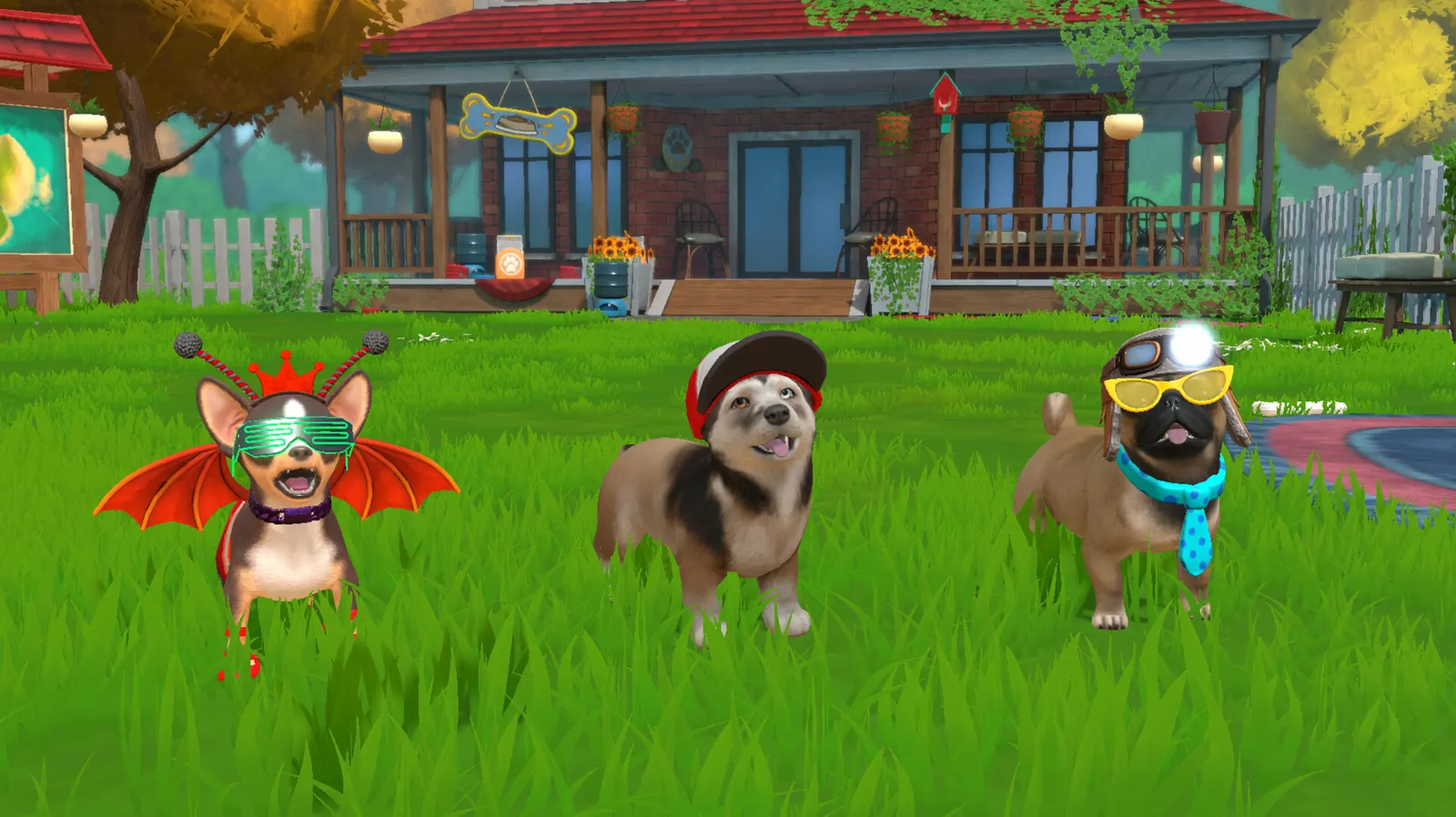 Little Friends: Puppy Island media 8