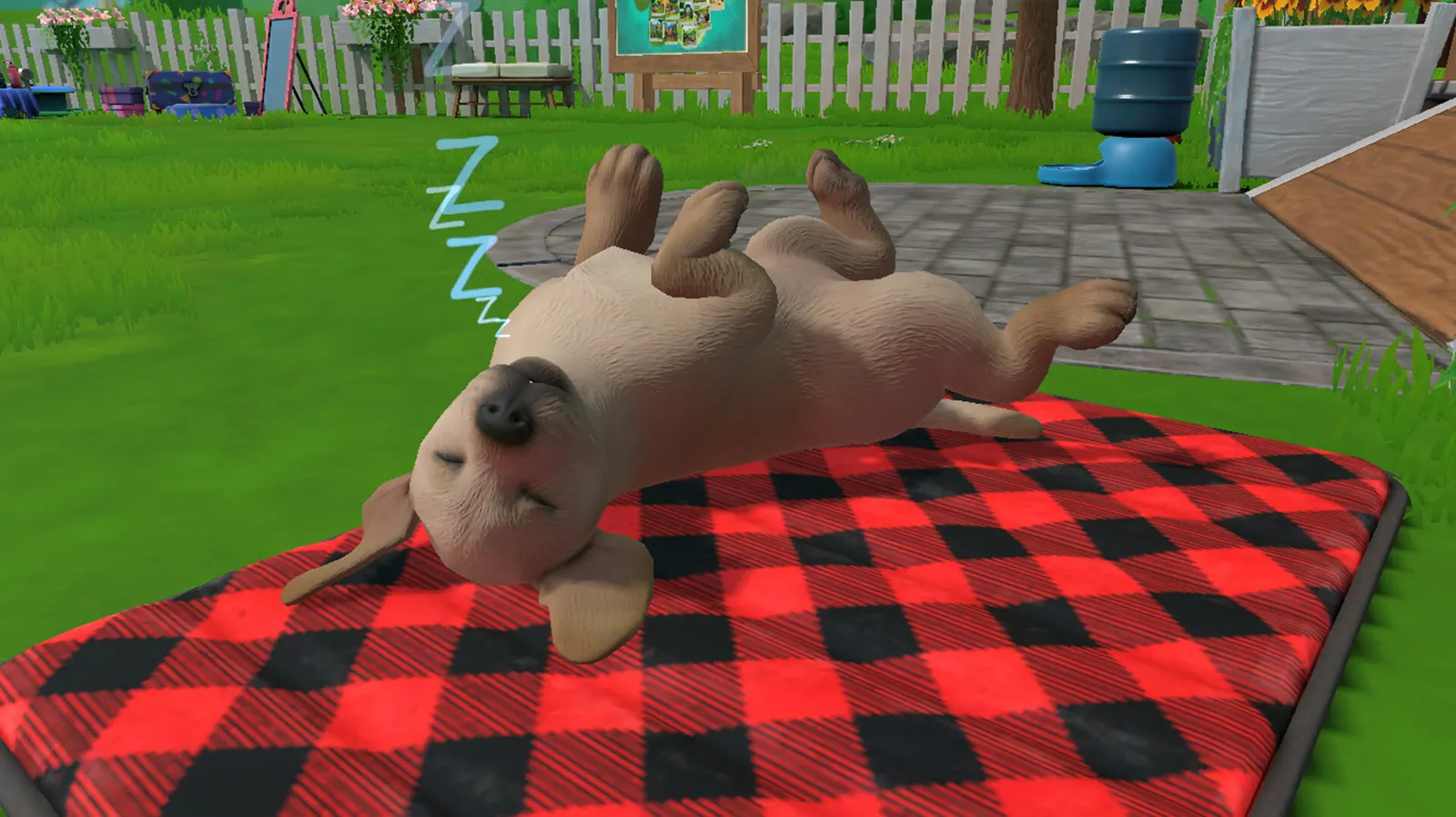 Little Friends: Puppy Island media 12