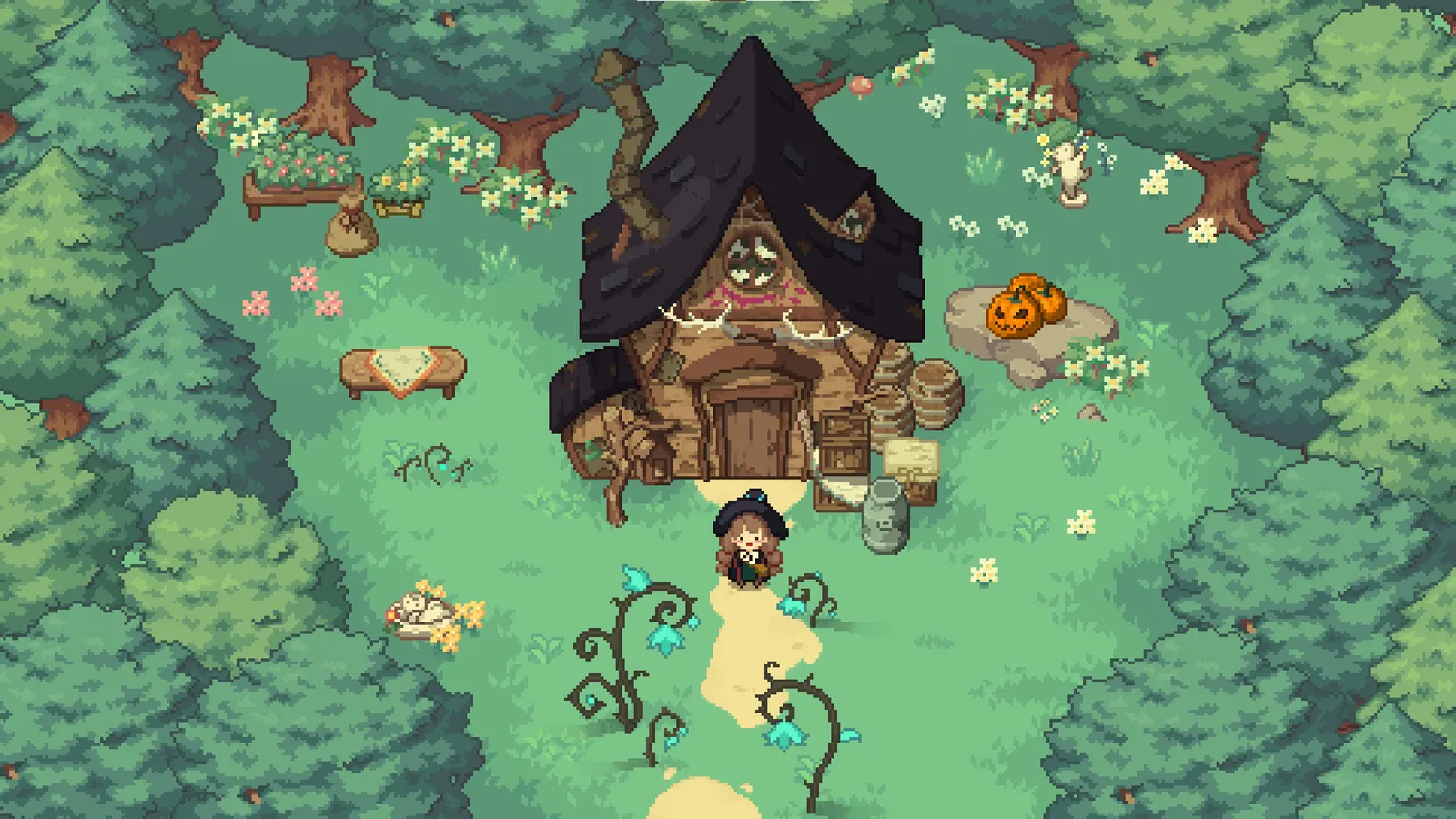 Little Witch in the Woods media 2