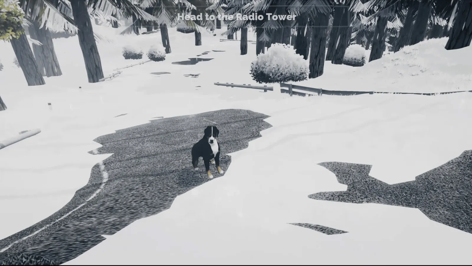 Long Drive North: Co-Op RV Simulator media 12