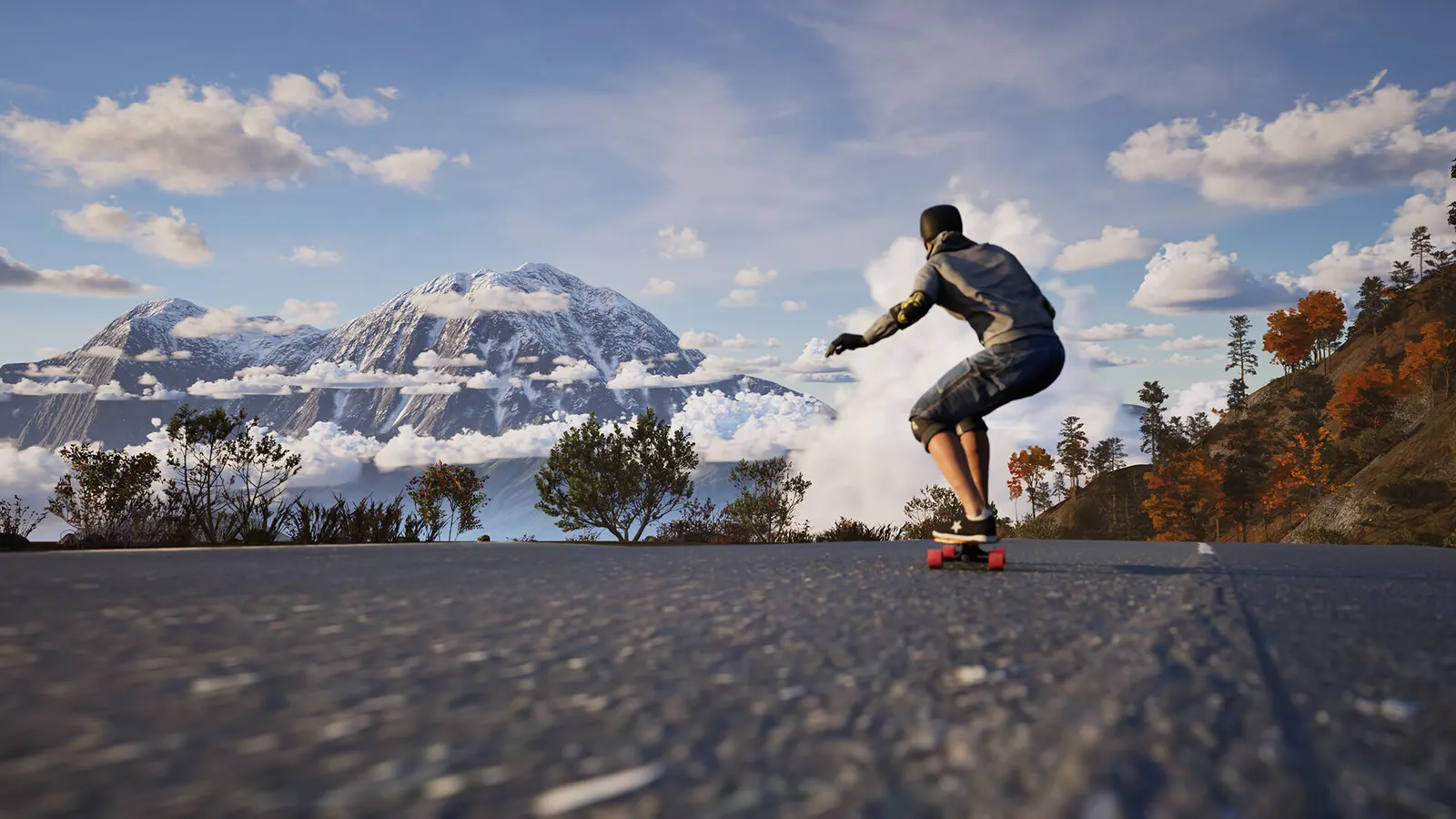 Longboard Skate Downhill Simulator media 2