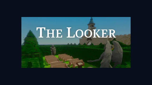 The Looker