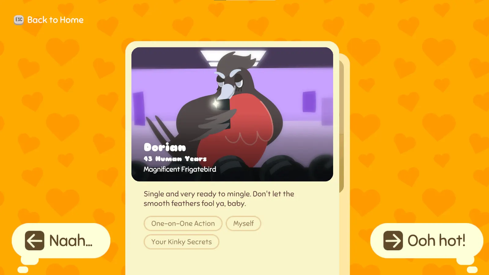 Lovebirb media 7