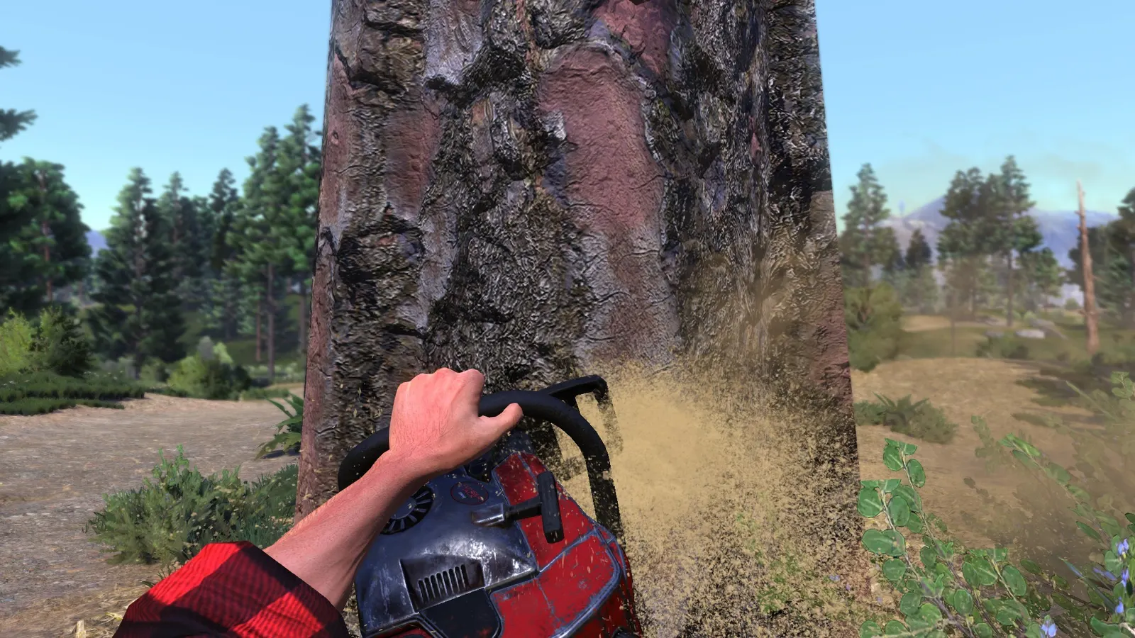 Lumberjack's Dynasty media 2