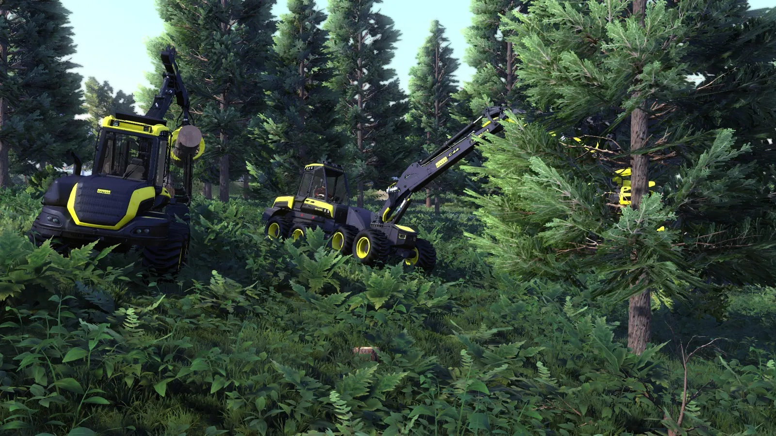 Lumberjack's Dynasty media 4