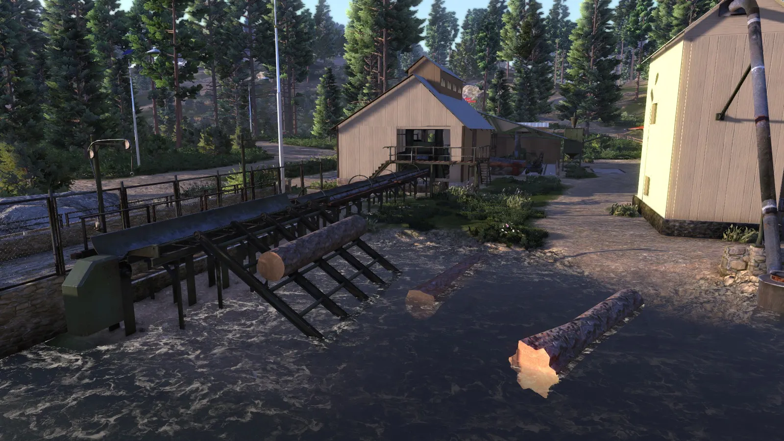 Lumberjack's Dynasty media 6
