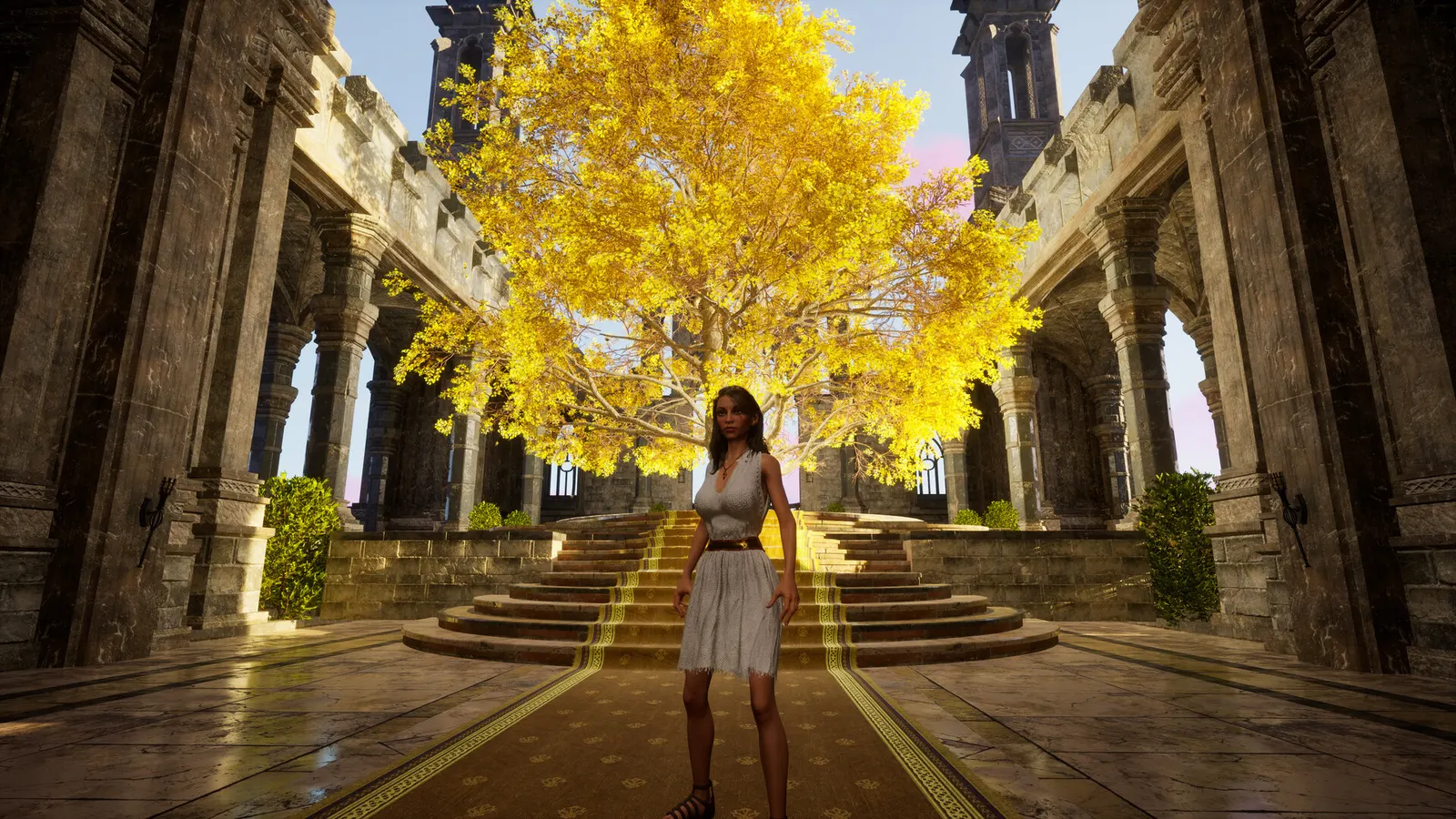 Luminary media 11