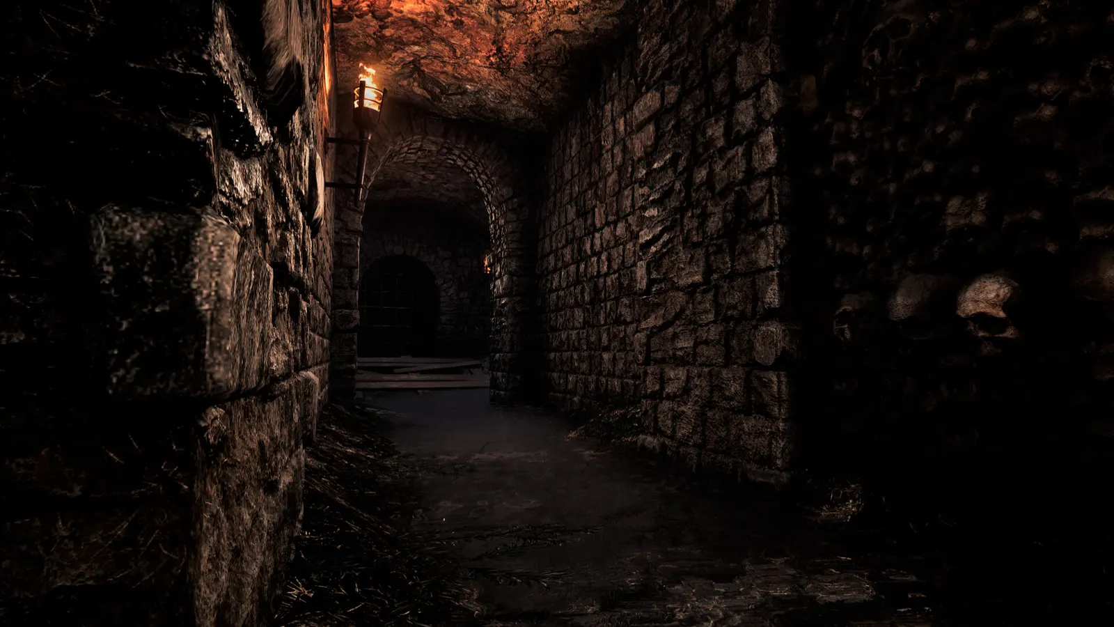 Lunacy: Saint Rhodes media 12
