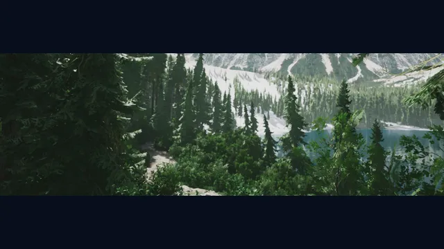 Lushfoil Photography Sim