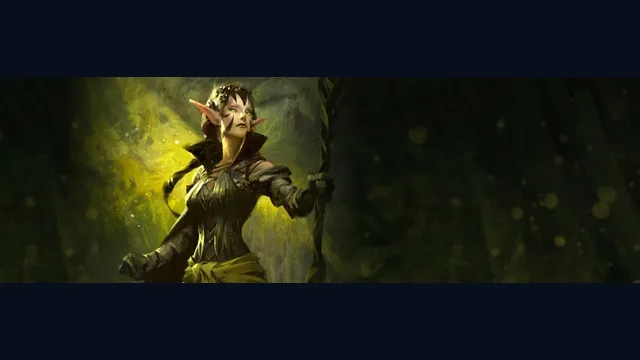 Magic: The Gathering - Duels of the Planeswalkers (2009)