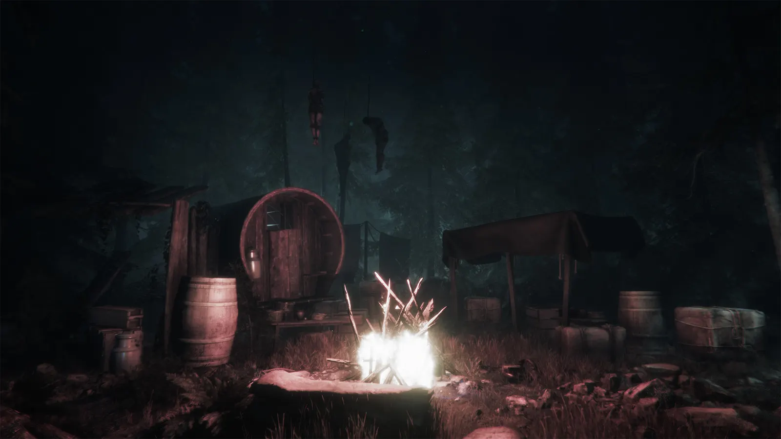 Maid of Sker media 6