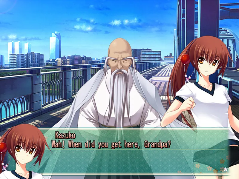 Majikoi! Love Me Seriously! media 14