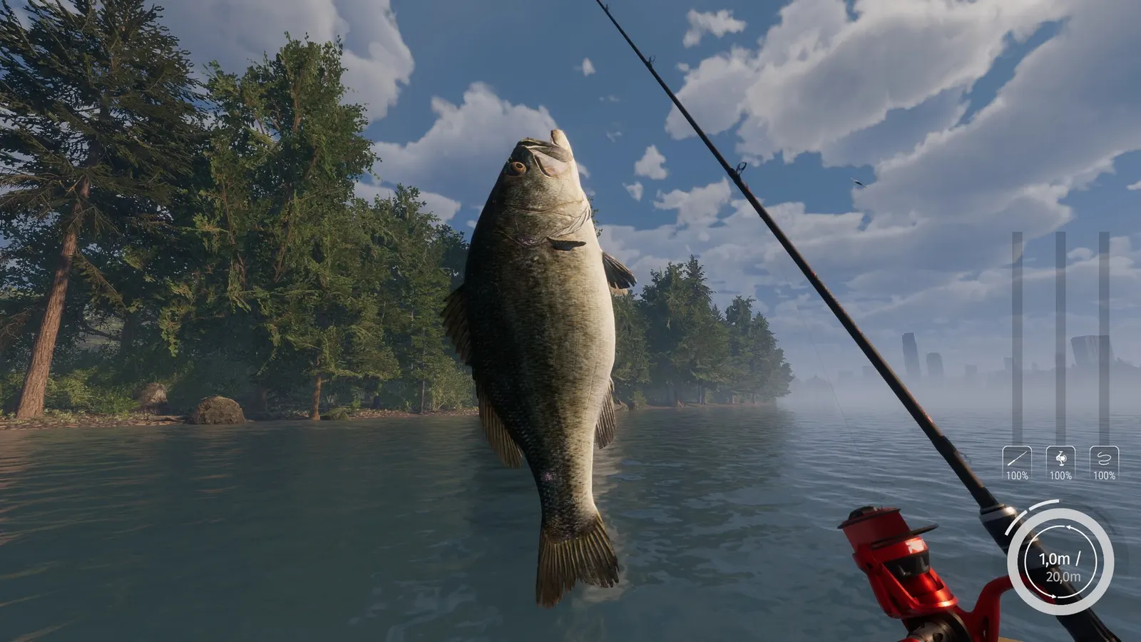 MLF: Pro Catch media 9