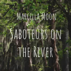 Обкладинка гри Marcella Moon: Saboteurs on the River