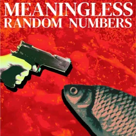 Обкладинка гри Meaningless Random Numbers