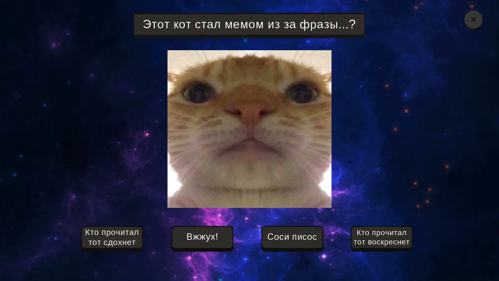 МЕМОЛОГИЯ media 6