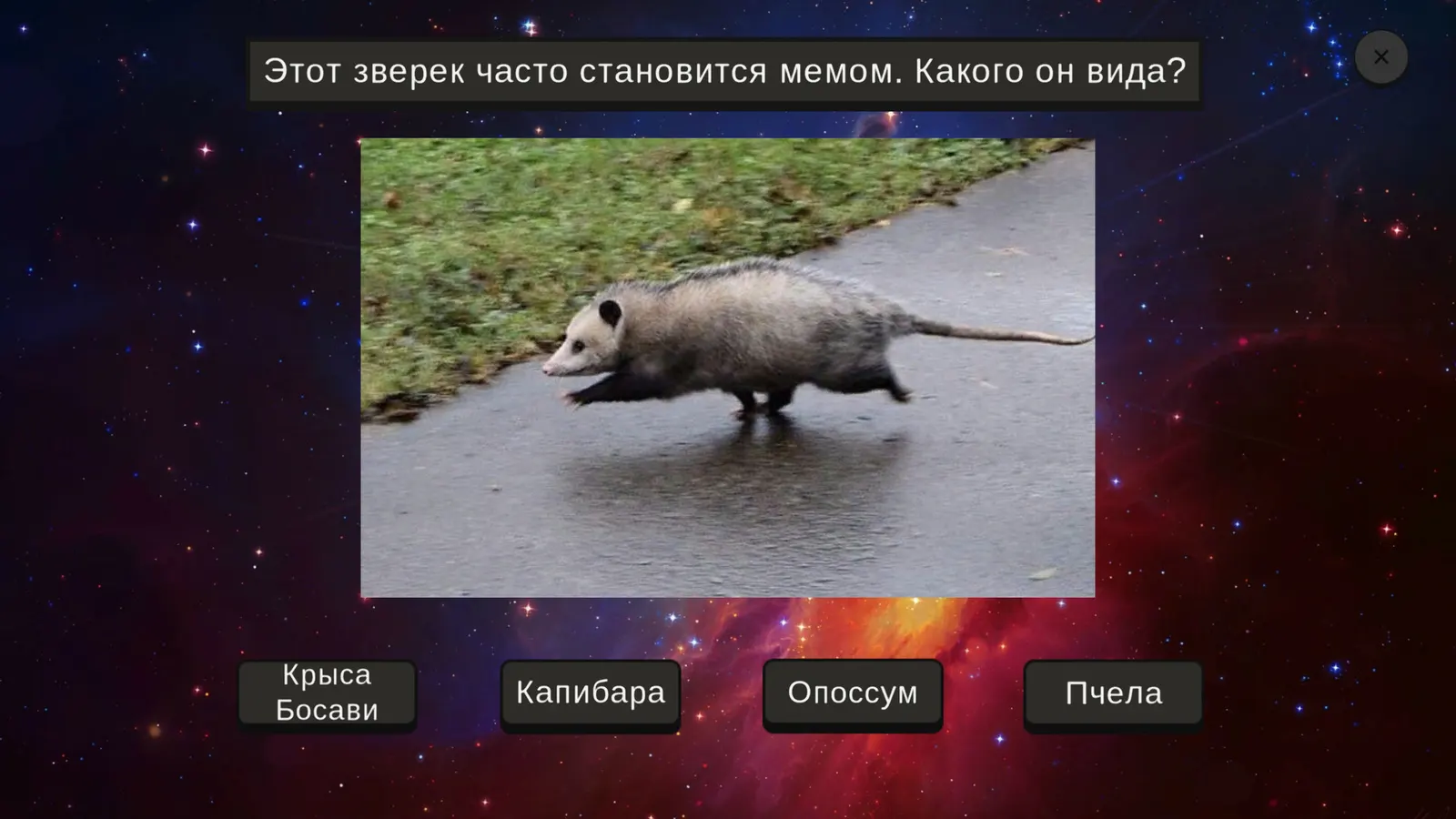 МЕМОЛОГИЯ media 7