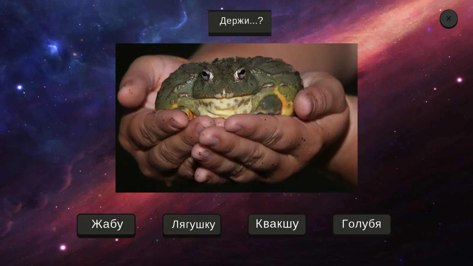 МЕМОЛОГИЯ media 8