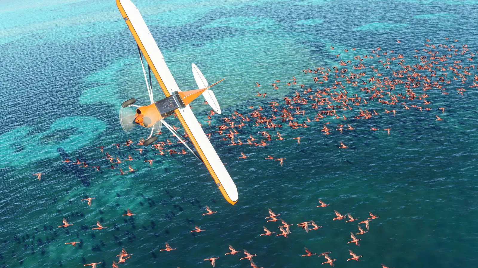 Microsoft Flight Simulator (2020) 40th Anniversary Edition media 19