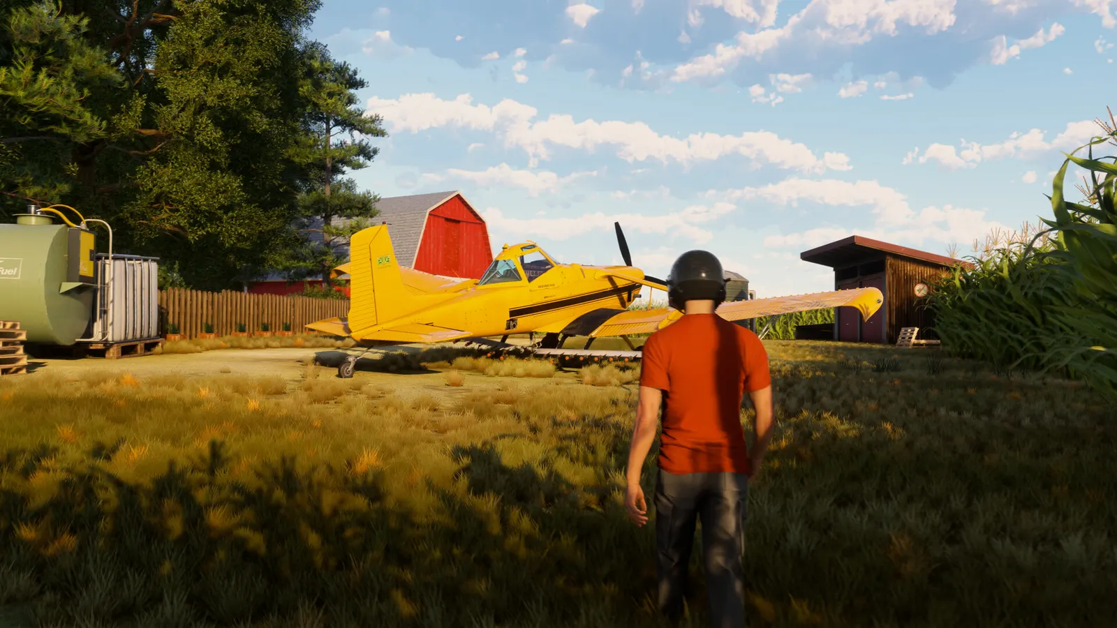 Microsoft Flight Simulator 2024 media 6