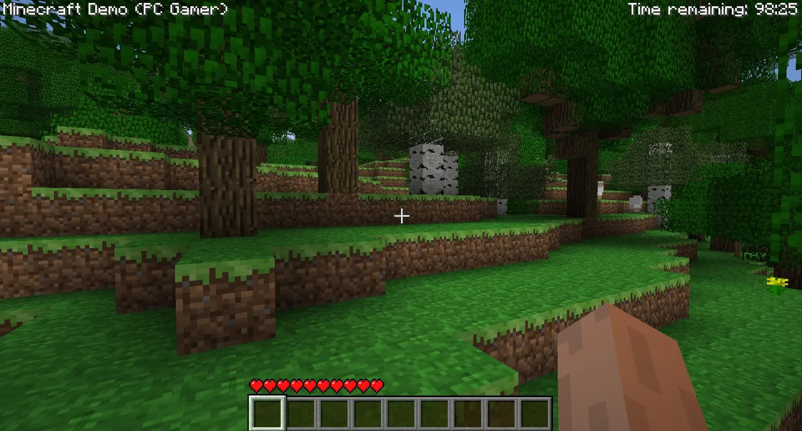 Minecraft media 4