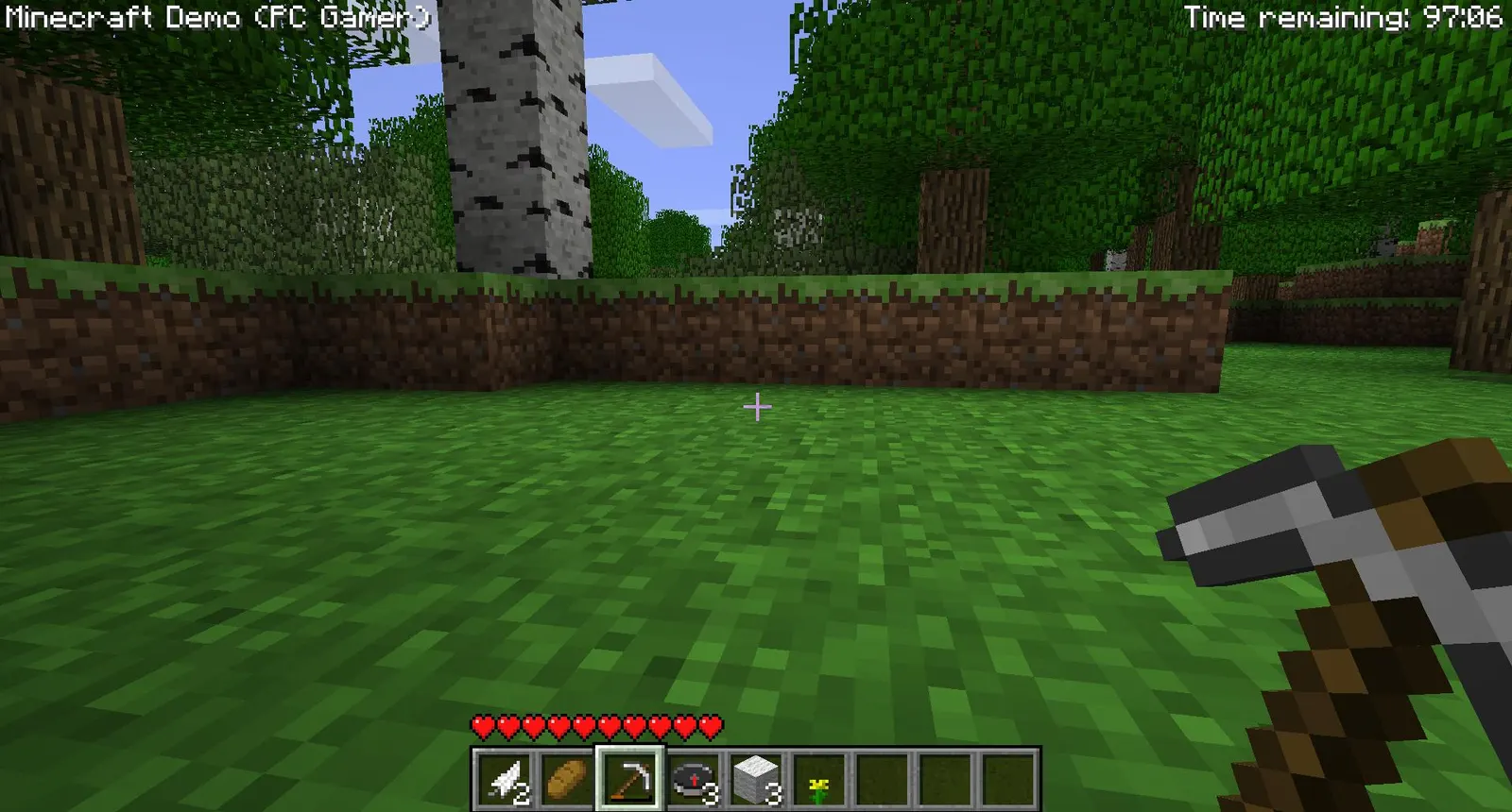 Minecraft media 5