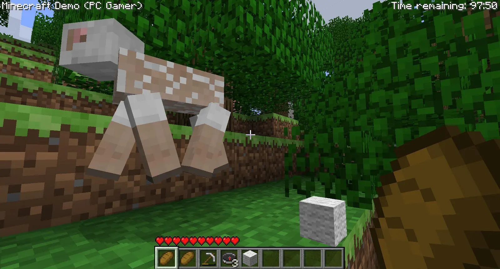 Minecraft media 6