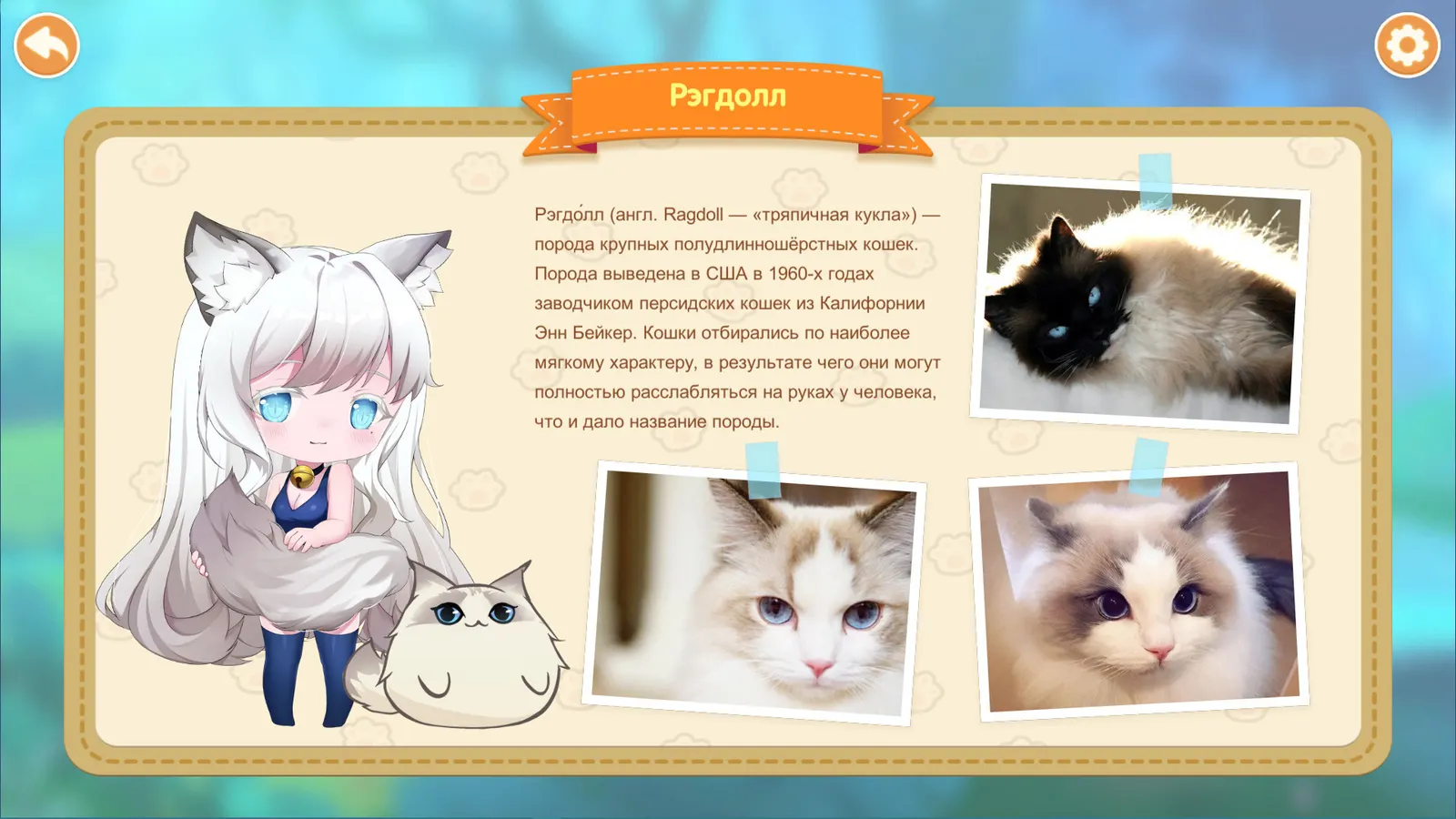 Miss Neko 2 media 2