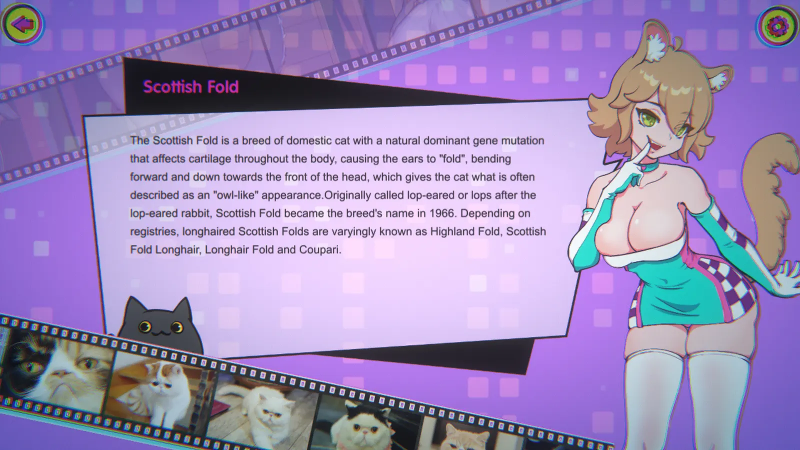 Miss Neko 3 media 6
