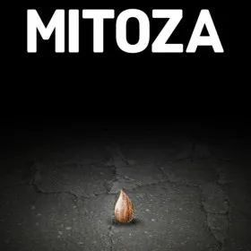 Обкладинка гри Mitoza