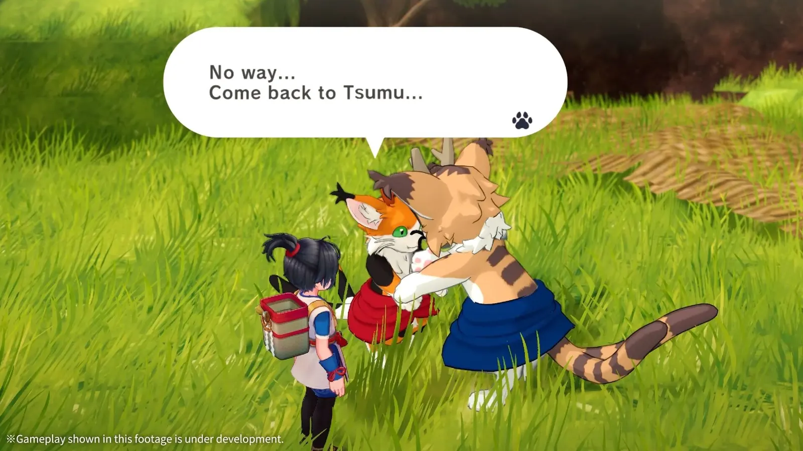 Mononoke No Kuni media 13