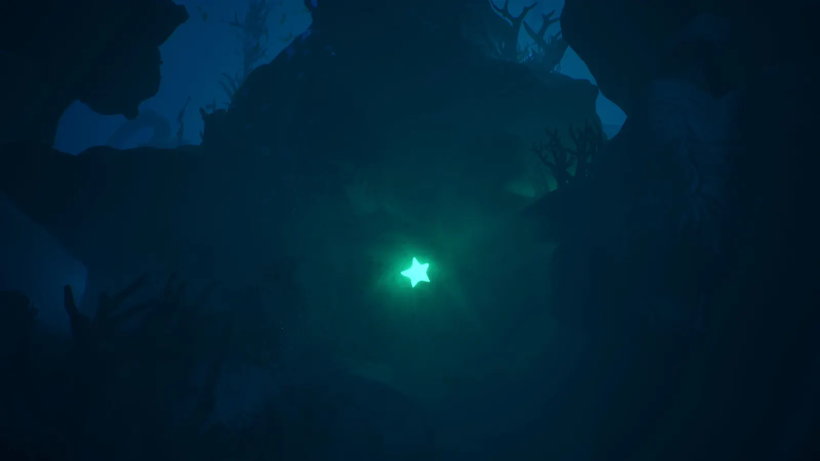MOONY:Black_Lotus media 7