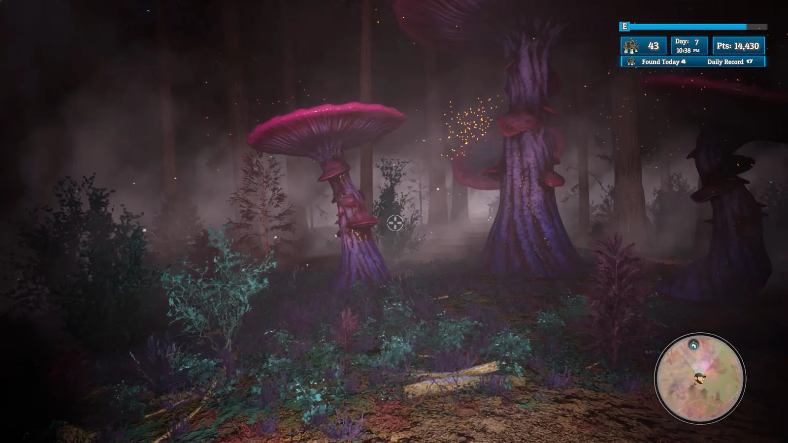 Morels: Out of this World media 3