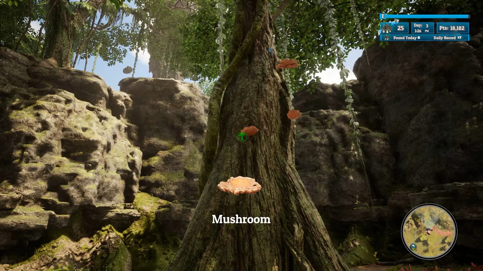 Morels: Out of this World media 13